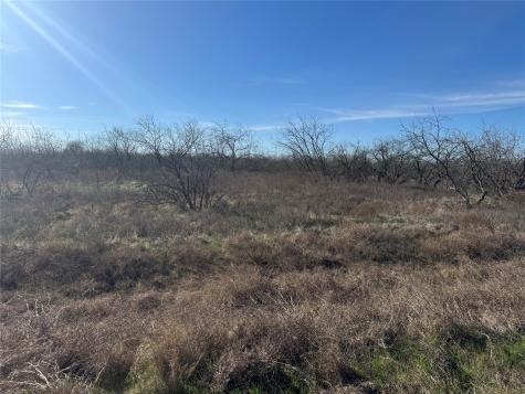 2.29ACRES Boren Private Road Wortham TX 76693