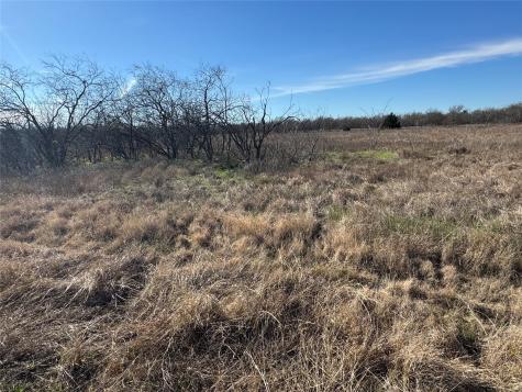 2.29ACRES Boren Private Road Wortham TX 76693