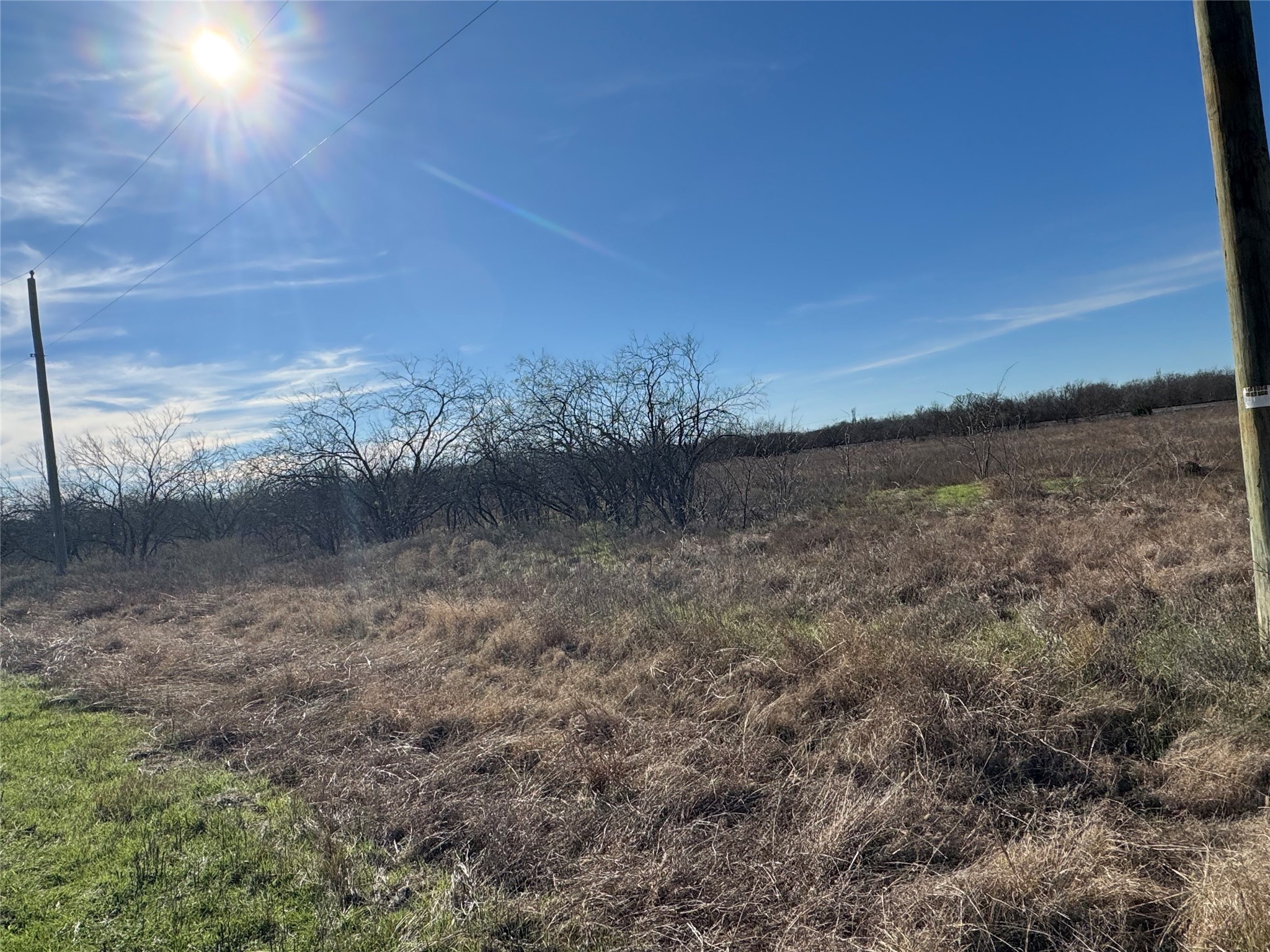 2.29ACRES Boren Private Road Wortham TX 76693