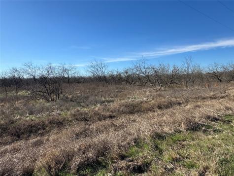 2.29ACRES Boren Private Road Wortham TX 76693