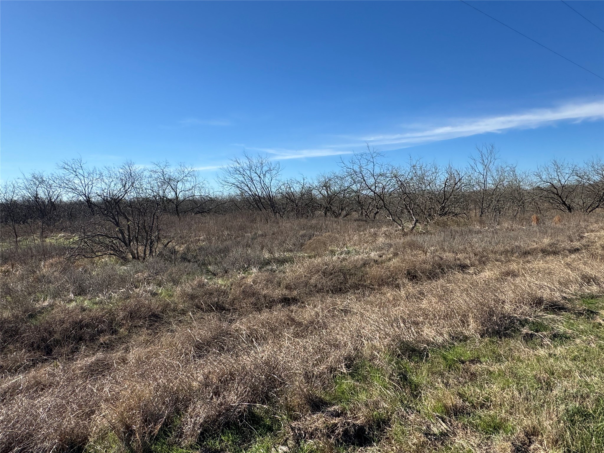 2.29ACRES Boren Private Road Wortham TX 76693