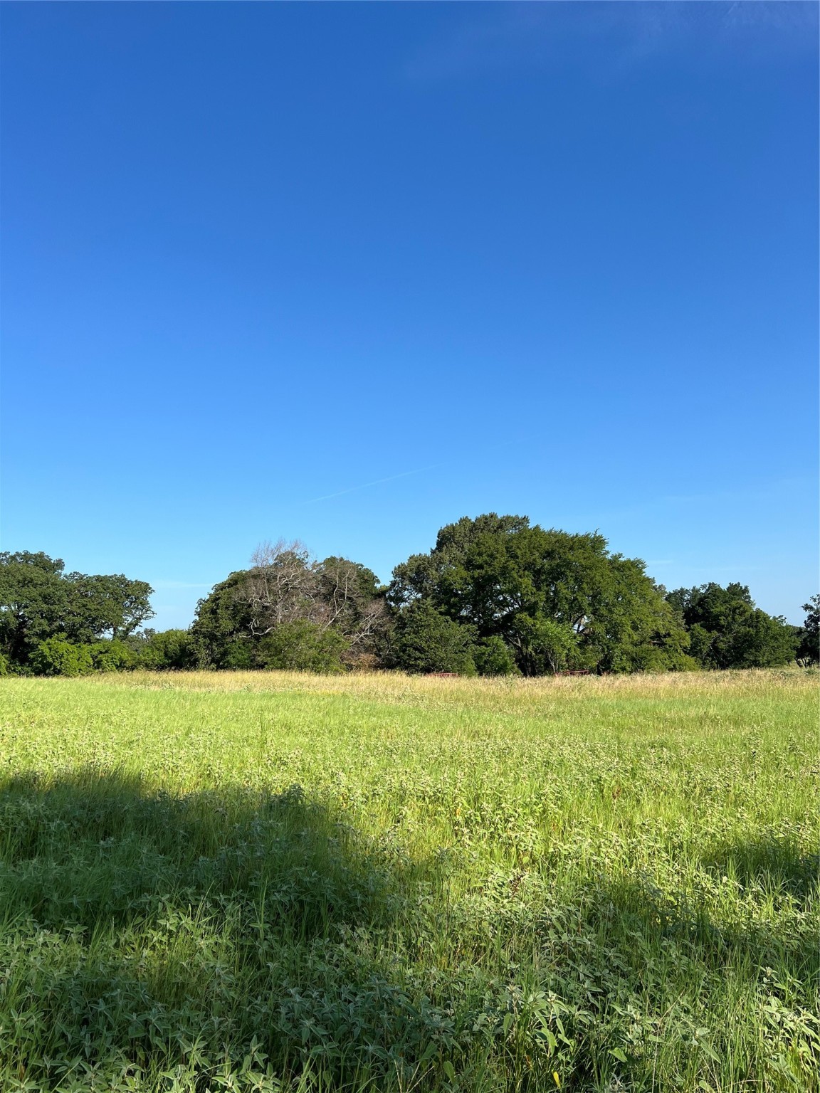 Tbd E Centennial Tyler TX 75706