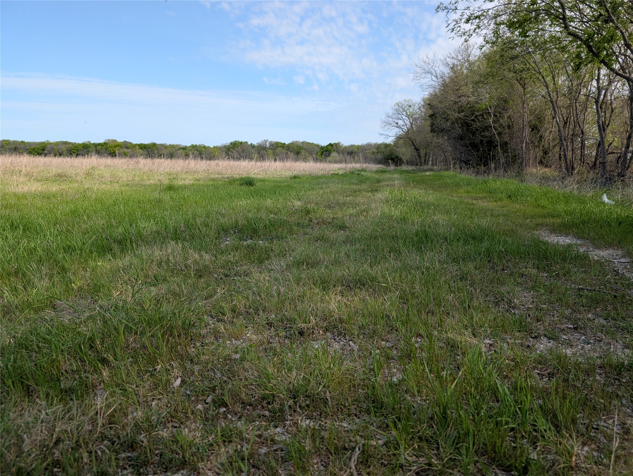 2787 Lonesome Dove Farmersville TX 75442