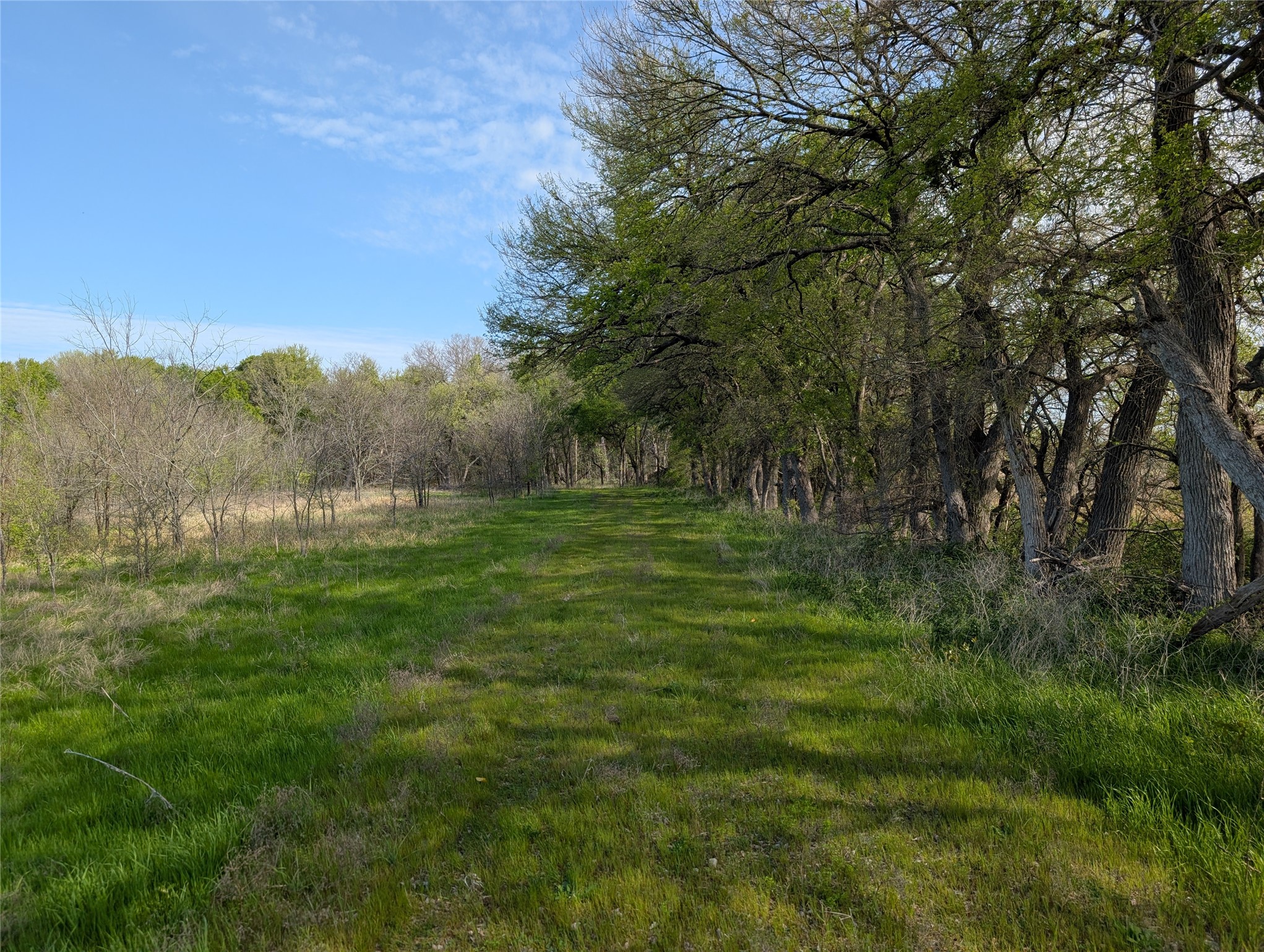2787 Lonesome Dove Farmersville TX 75442