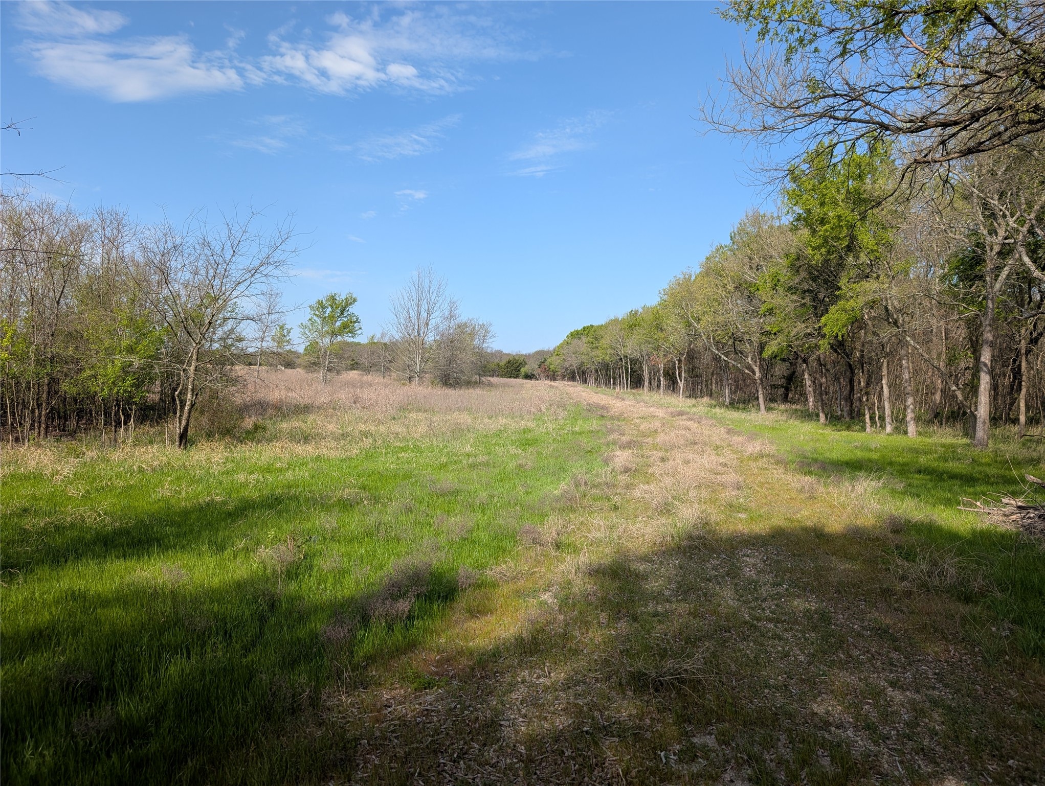 2787 Lonesome Dove Farmersville TX 75442