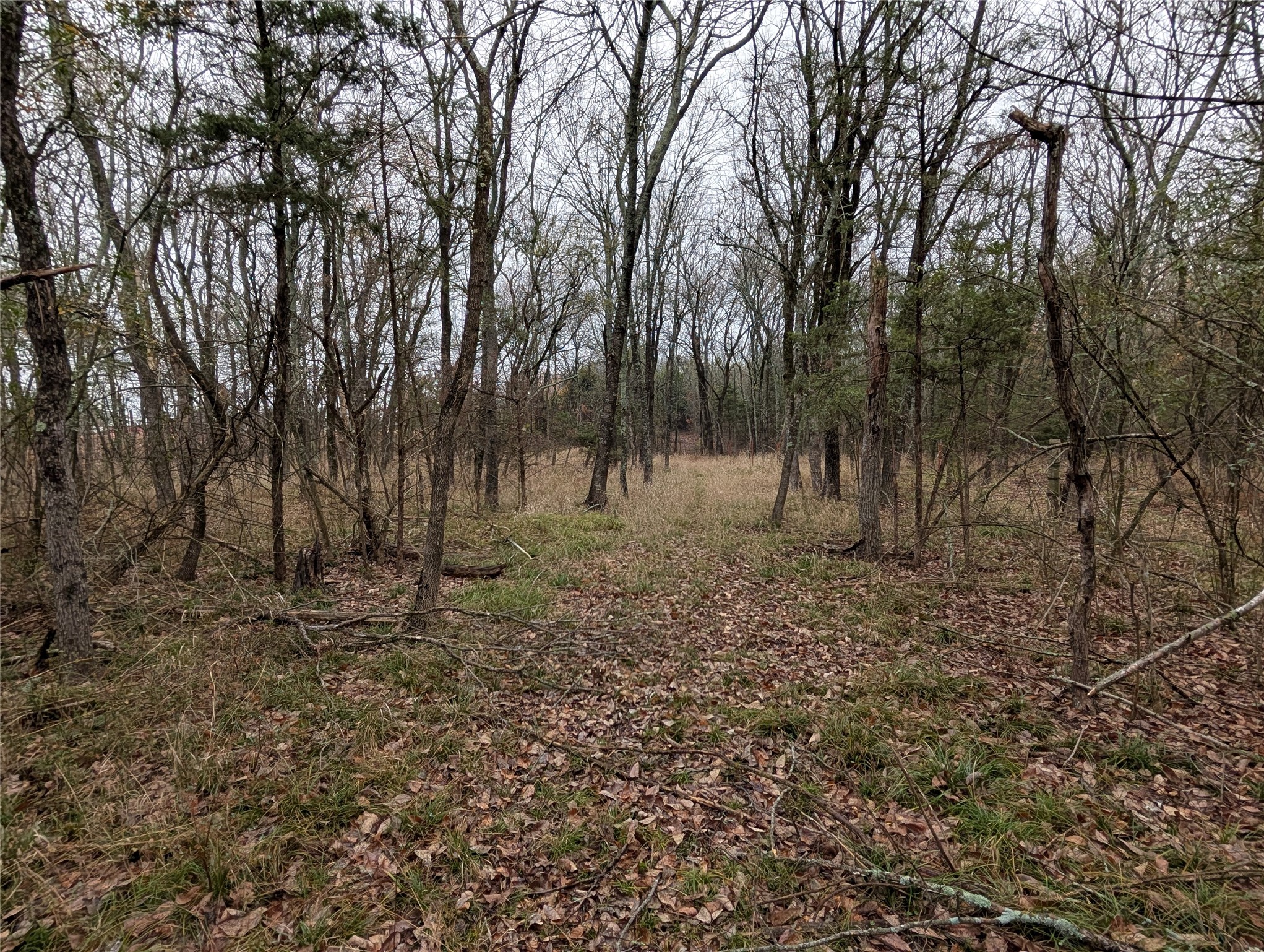 2787 Lonesome Dove Farmersville TX 75442