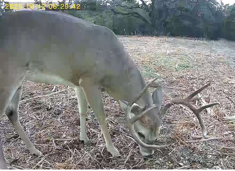 Tbd Fm 708b Clifton TX 76634