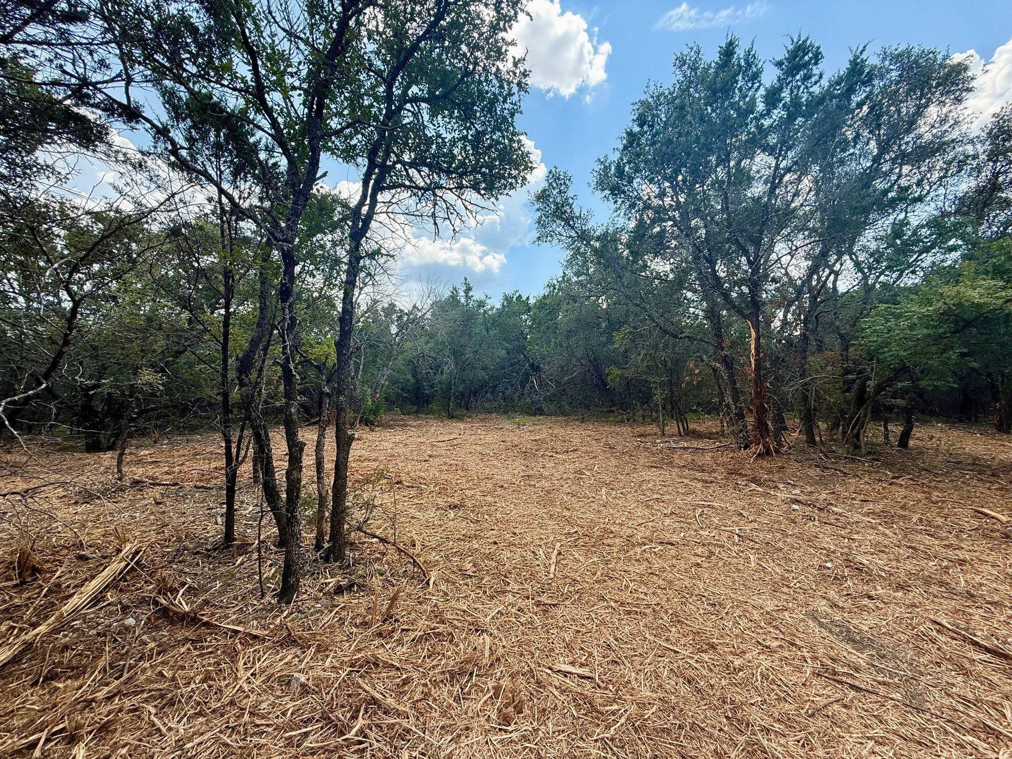 Tbd Fm 708b Clifton TX 76634