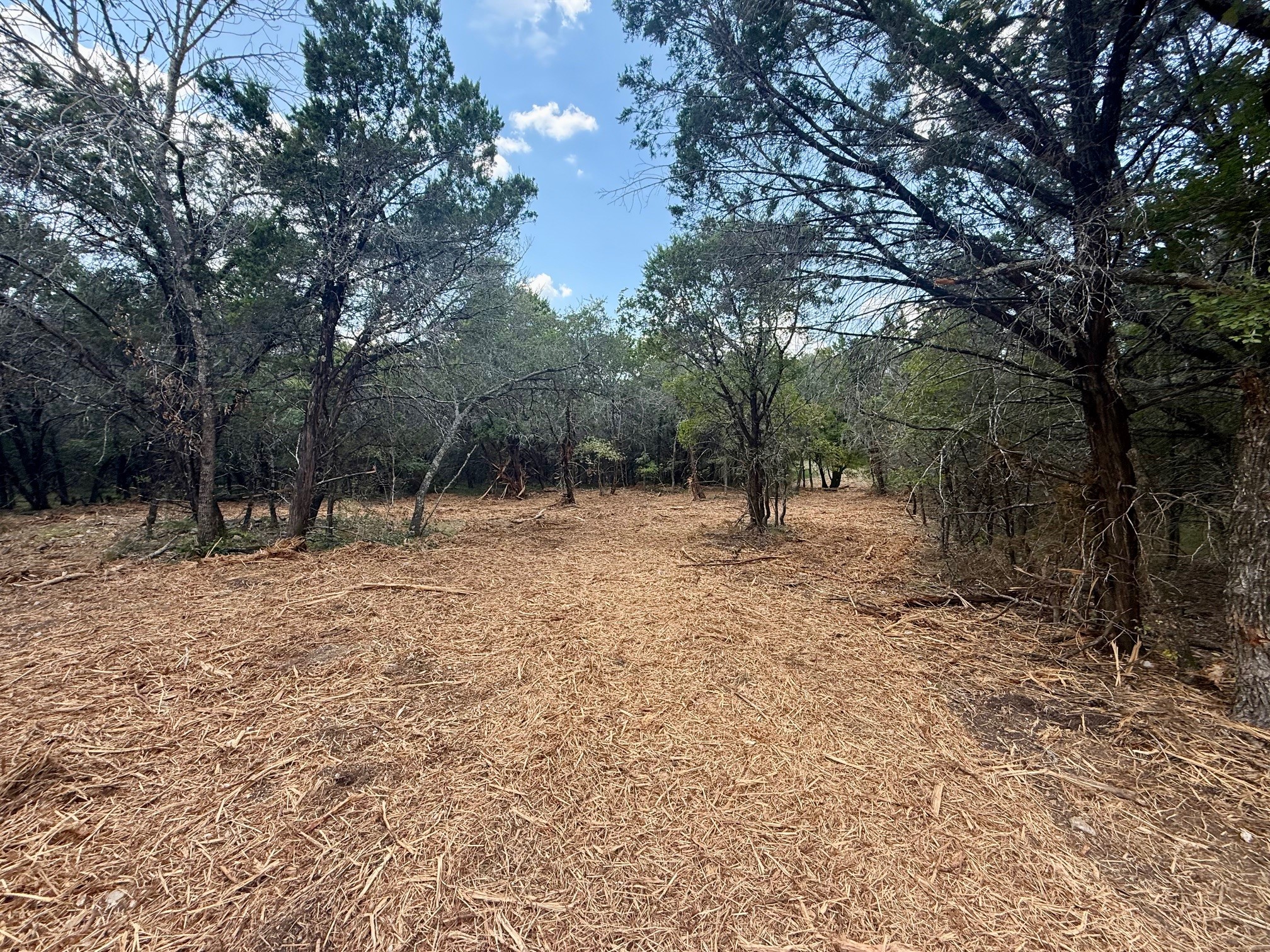 Tbd Fm 708b Clifton TX 76634