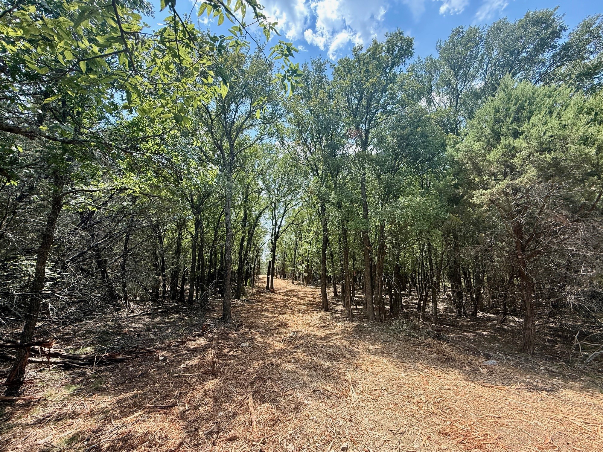 Tbd Fm 708b Clifton TX 76634