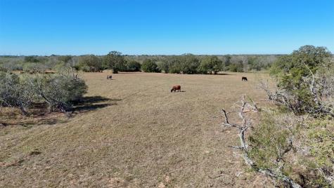 7180 County Road 283 Gonzales TX 78632
