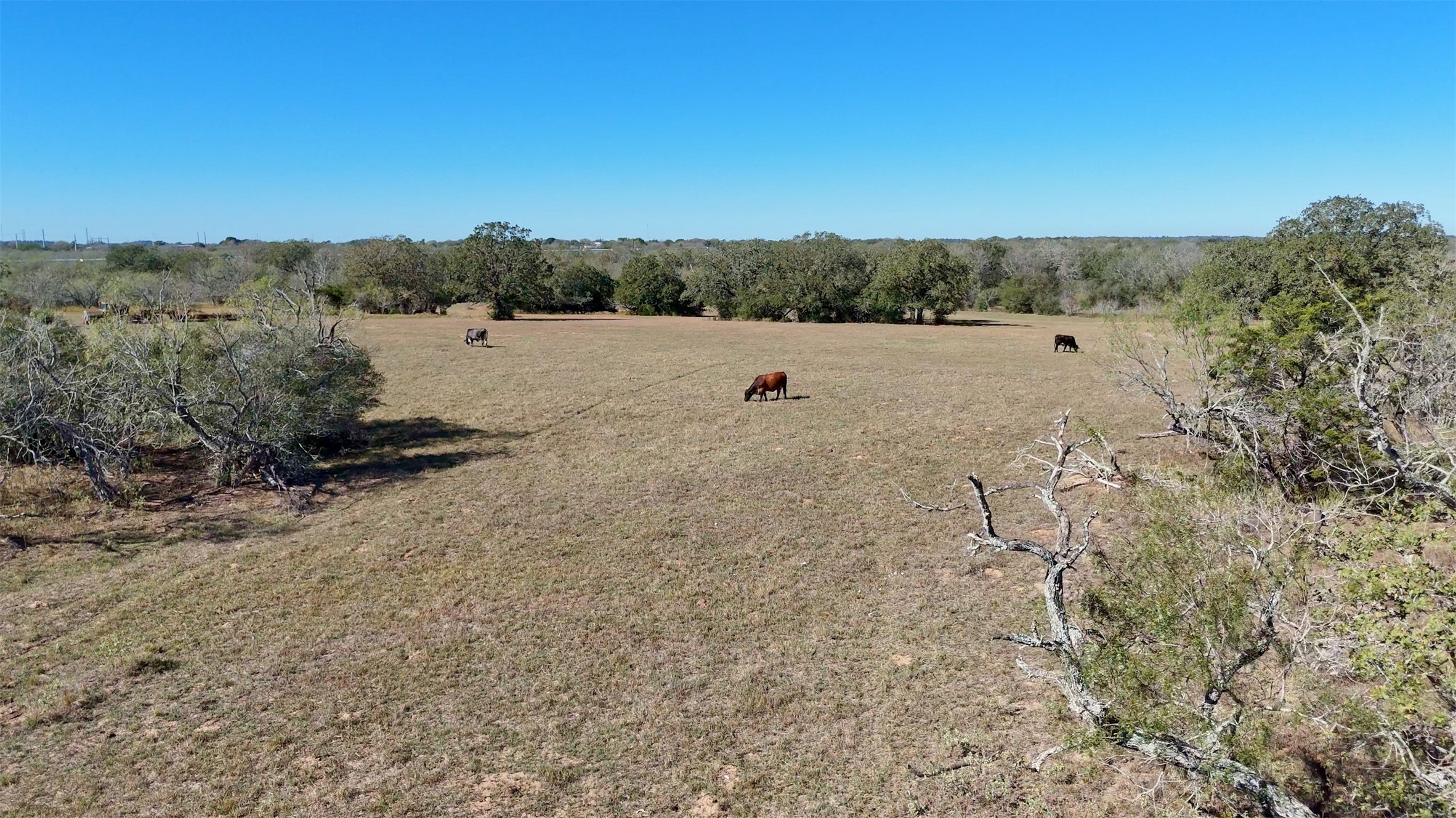 7180 County Road 283 Gonzales TX 78632
