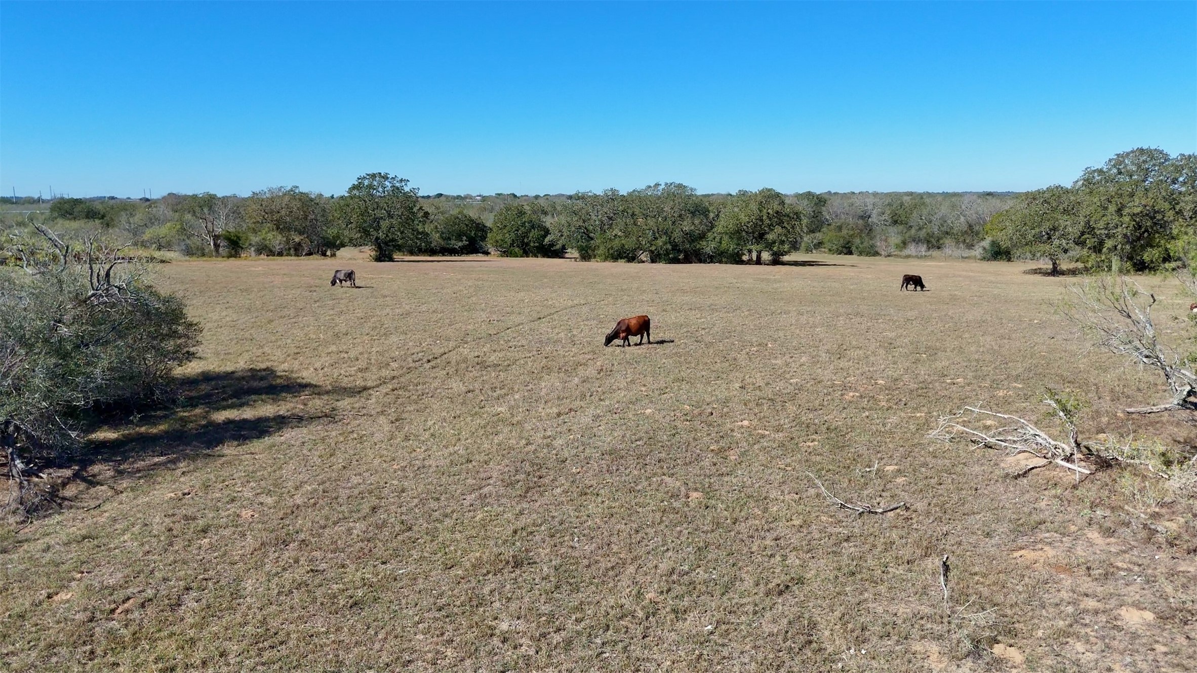7180 County Road 283 Gonzales TX 78632