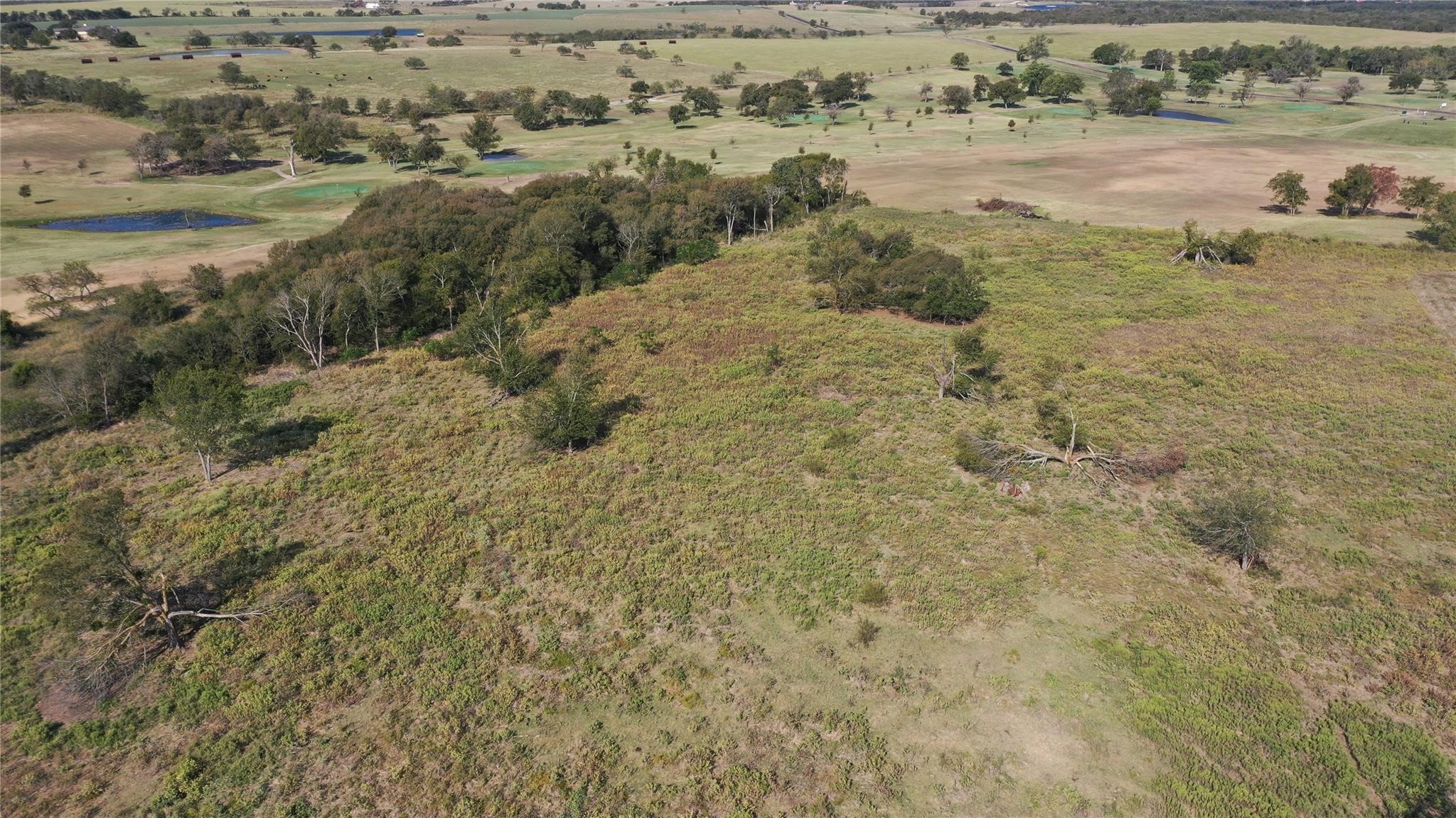 Tbd 33.57 Acres Battle Lake Road Mart TX 76664