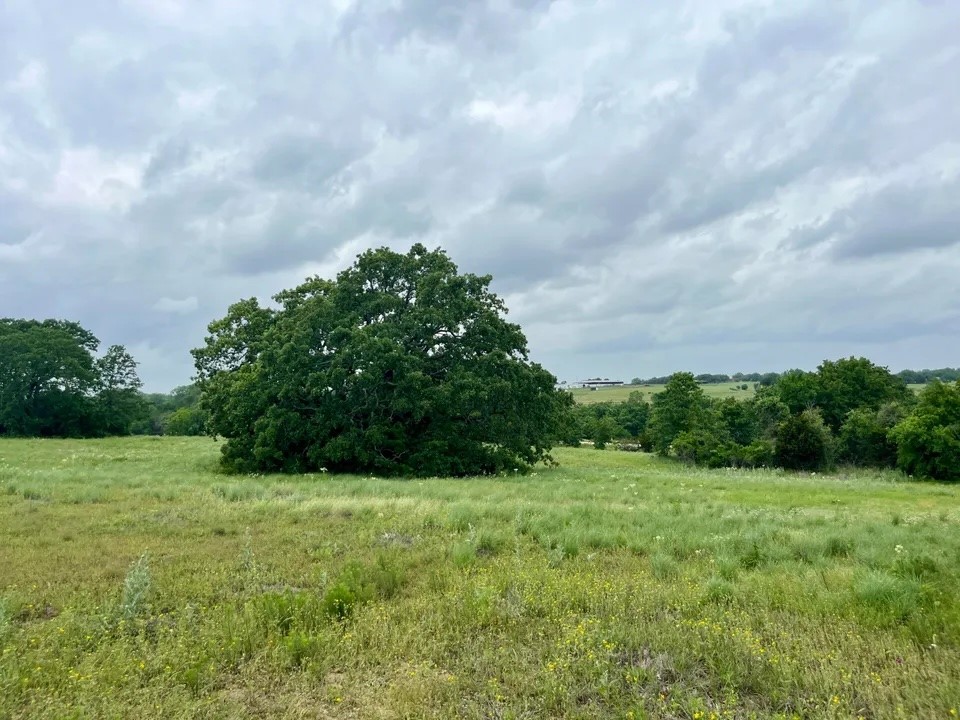 Lot 14 Arlow Road Poolville TX 76487