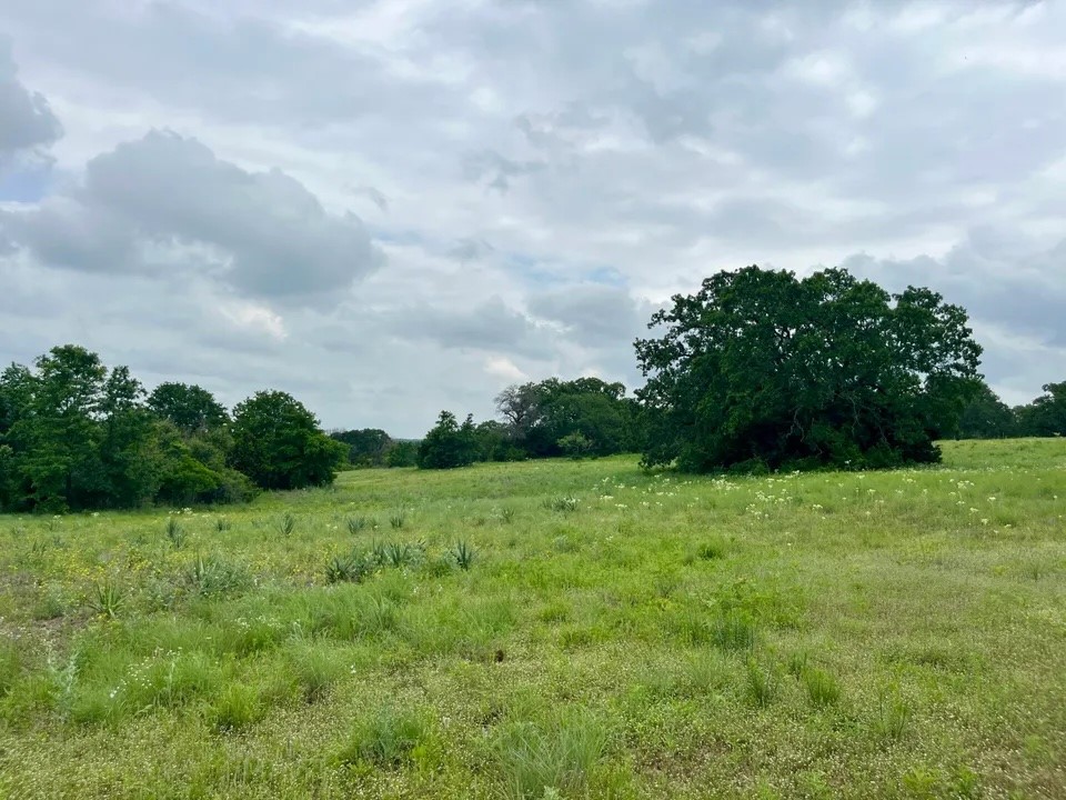Lot 14 Arlow Road Poolville TX 76487