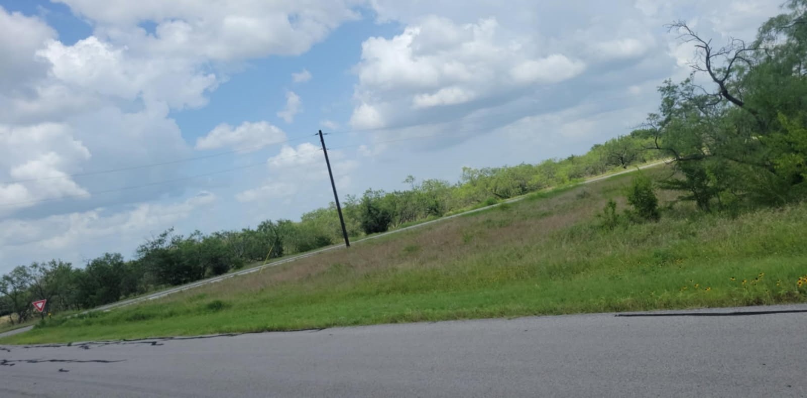Lot 118 Palmito Ranch Road Corsicana TX 75110