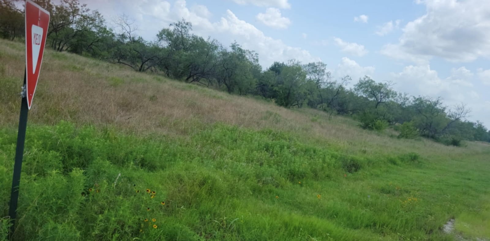 Lot 118 Palmito Ranch Road Corsicana TX 75110