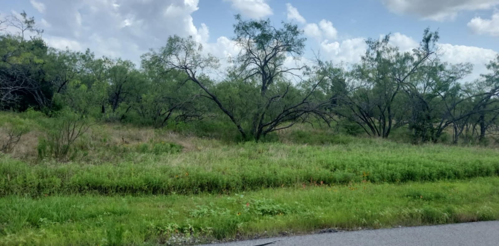 Lot 118 Palmito Ranch Road Corsicana TX 75110