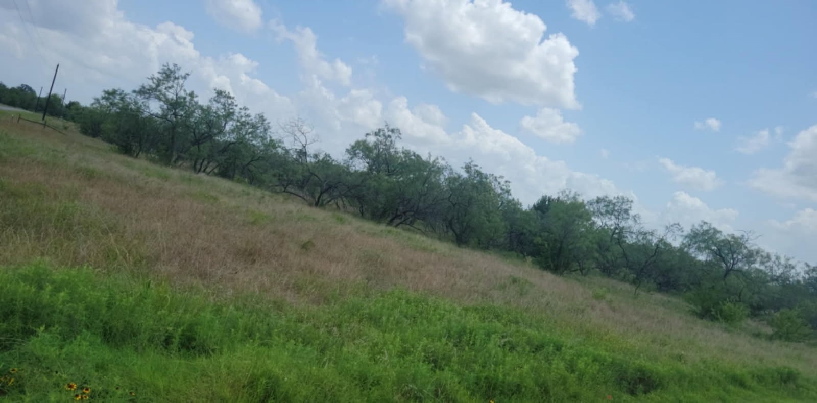Lot 118 Palmito Ranch Road Corsicana TX 75110