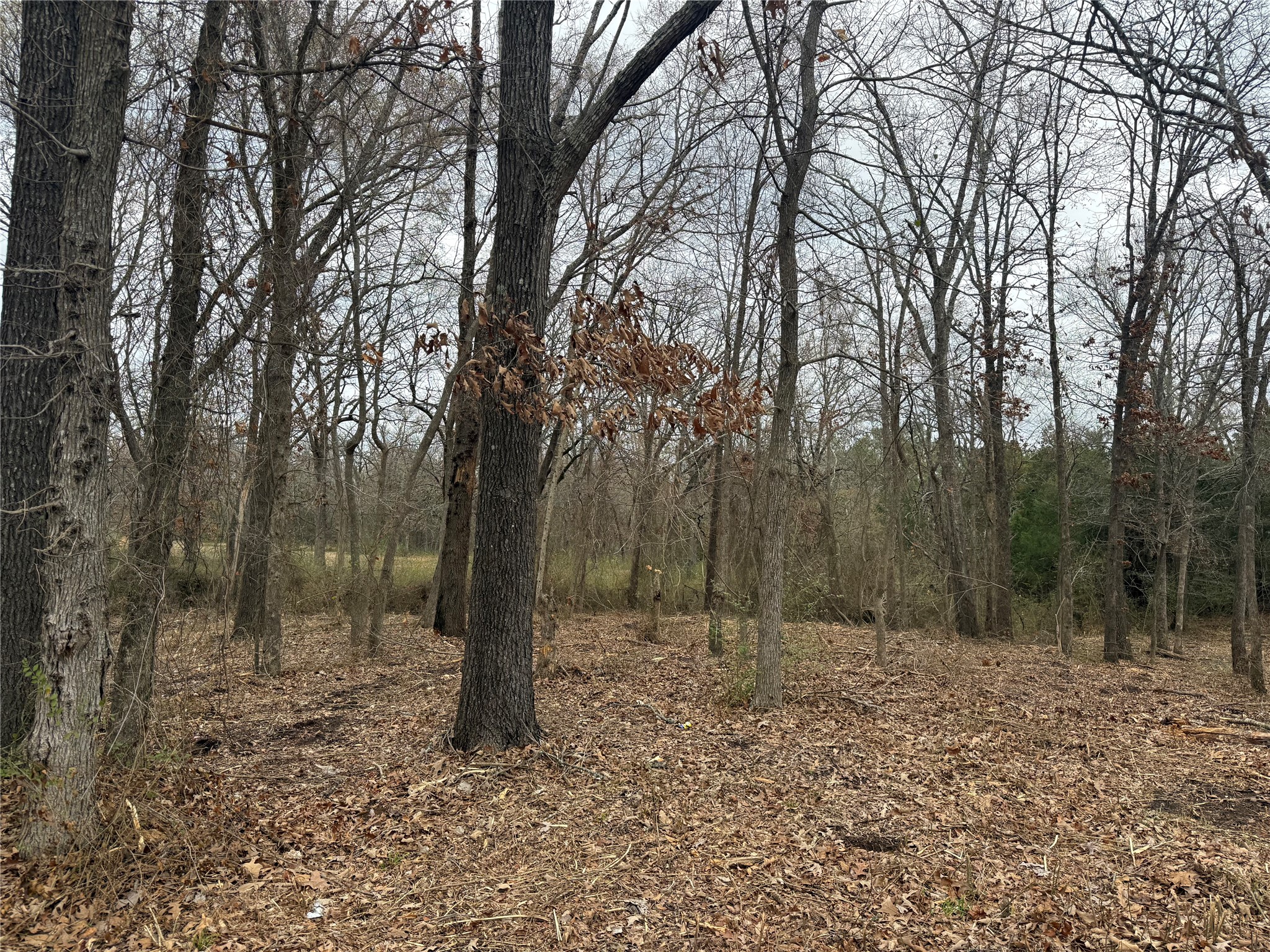 Tbd (lot 8) Florence Street Grand Saline TX 75140