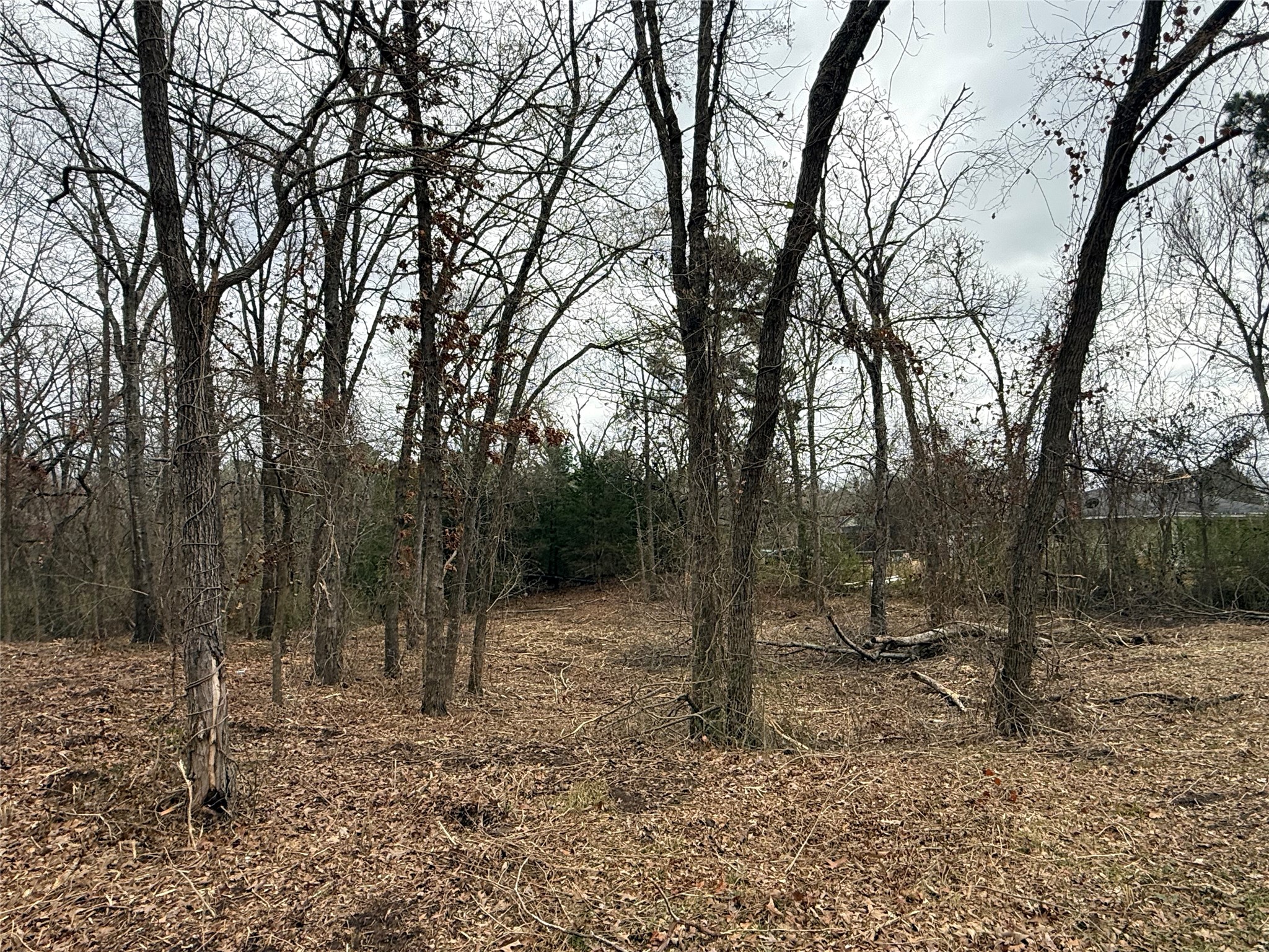 Tbd (lot 8) Florence Street Grand Saline TX 75140