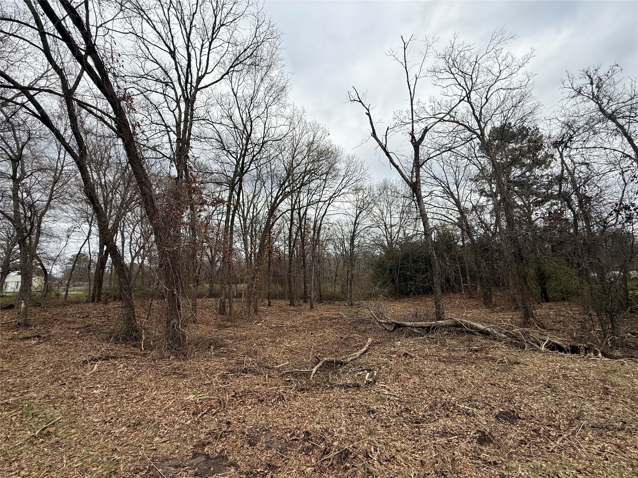 Tbd (lot 8) Florence Street Grand Saline TX 75140