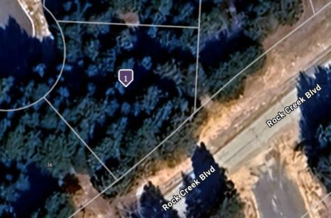 30 Aston Oaks Court Gordonville TX 76245