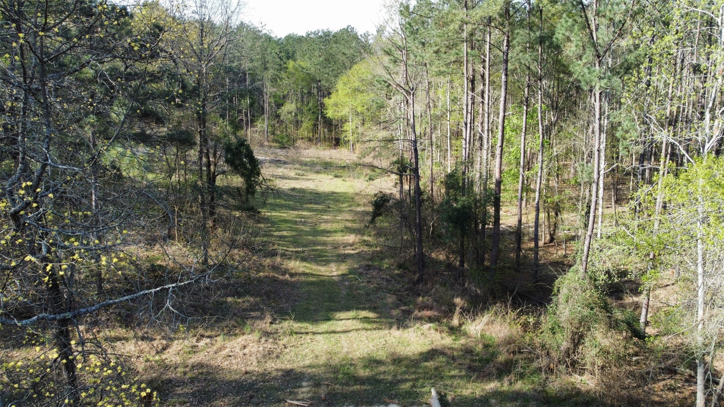000 County Road 434 Lindale TX 75771