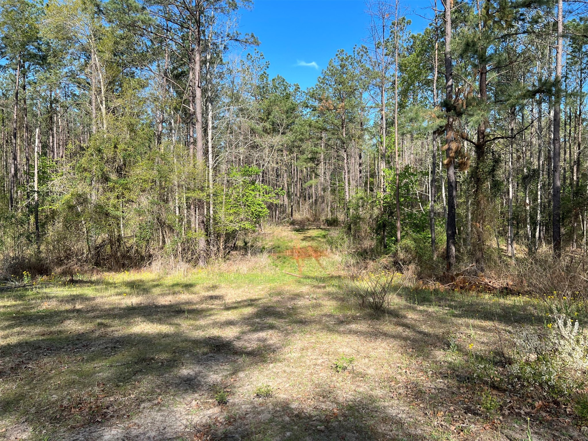 000 County Road 434 Lindale TX 75771