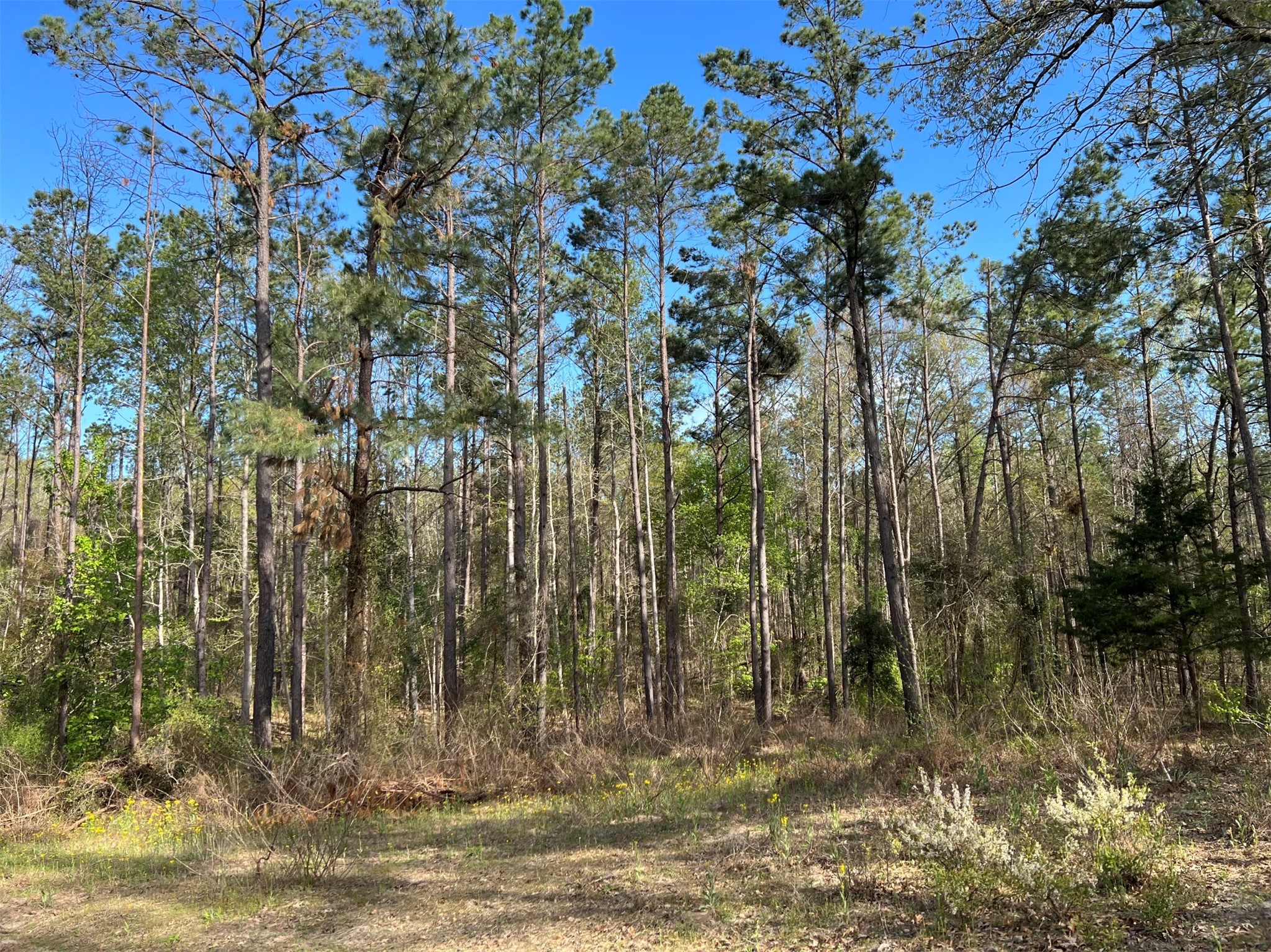 000 County Road 434 Lindale TX 75771