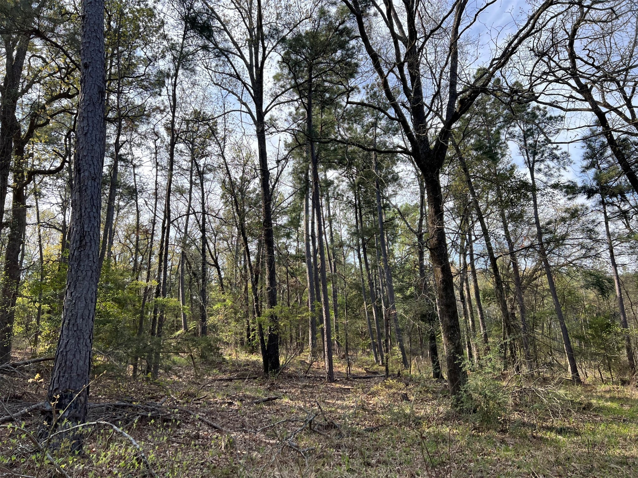 000 County Road 434 Lindale TX 75771