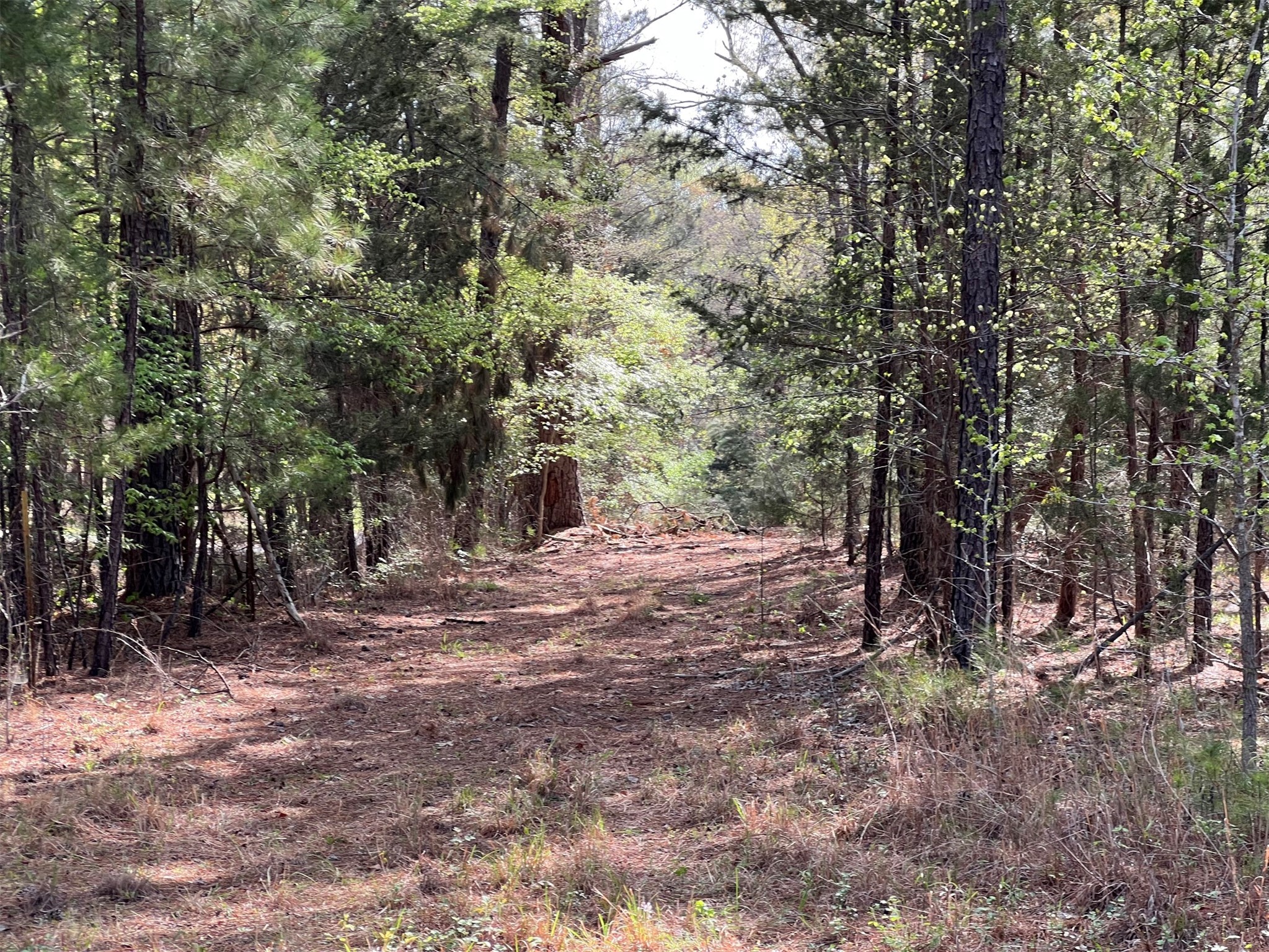 000 County Road 434 Lindale TX 75771