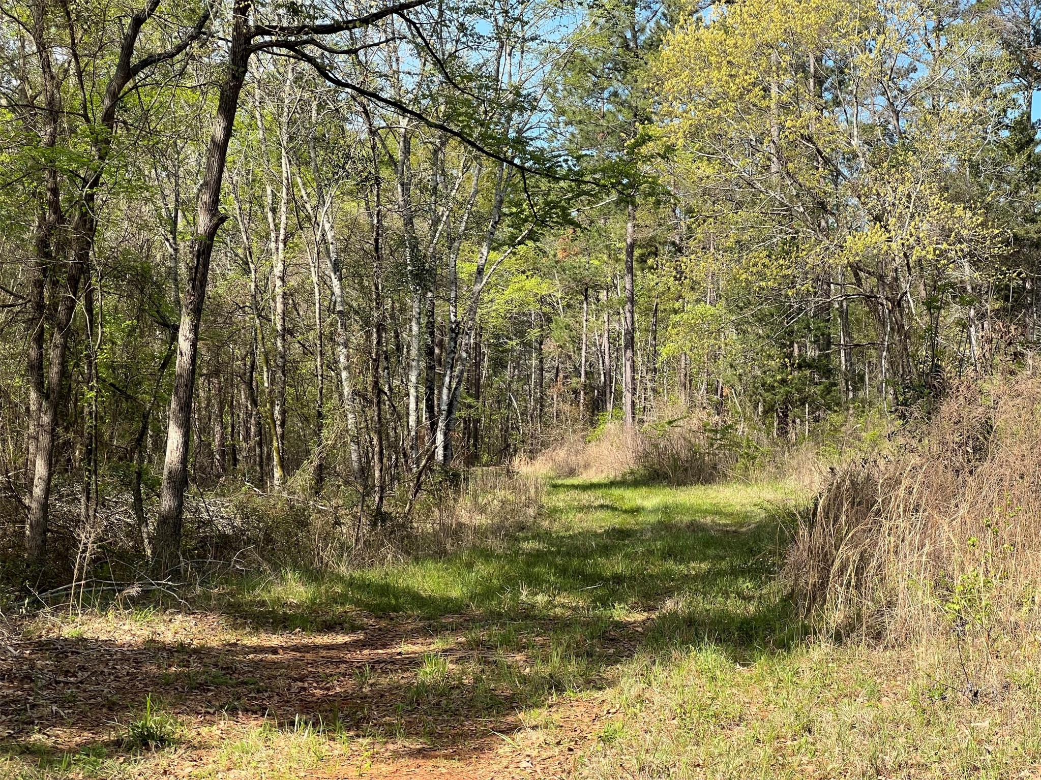 000 County Road 434 Lindale TX 75771