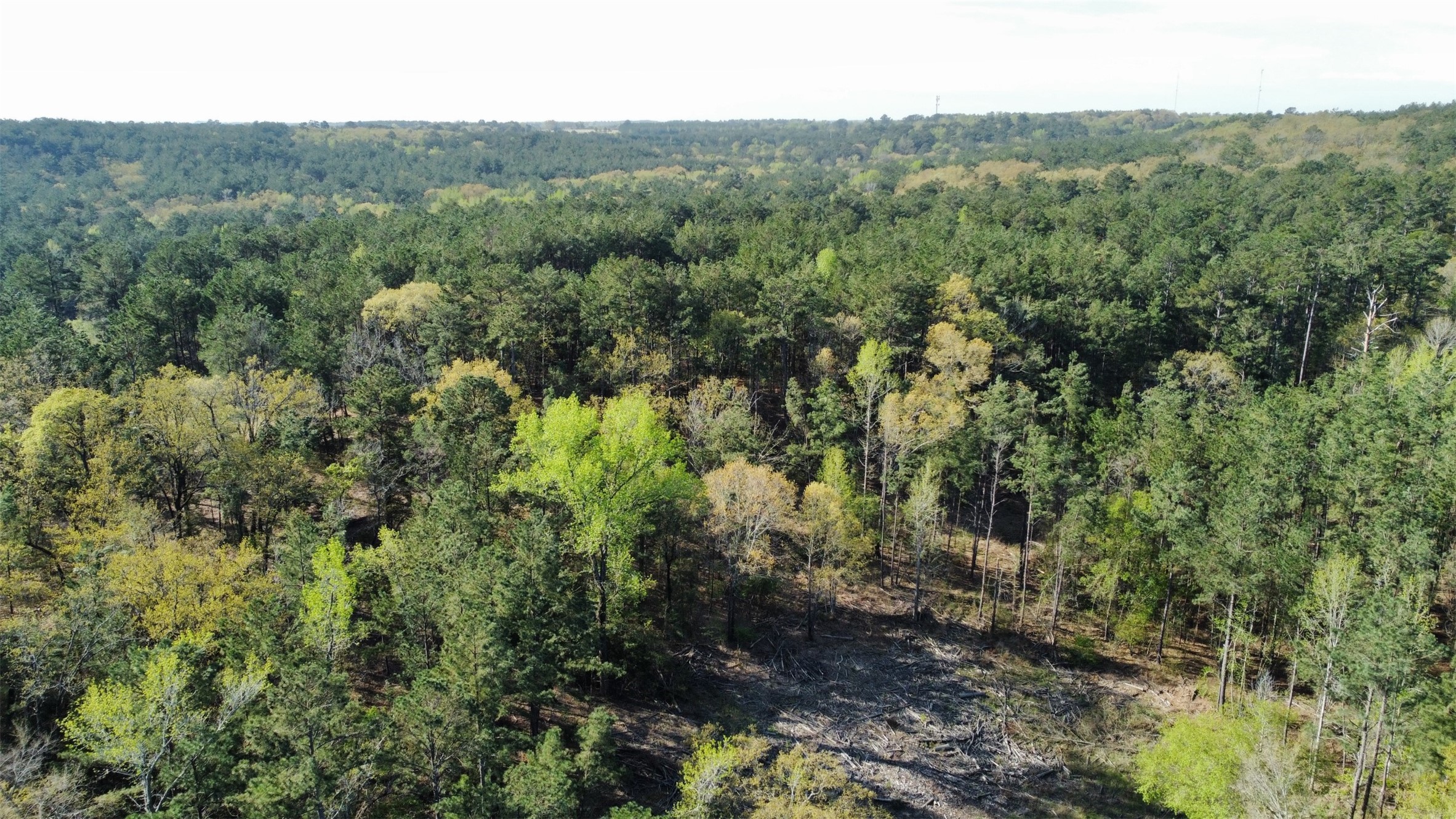 000 County Road 434 Lindale TX 75771