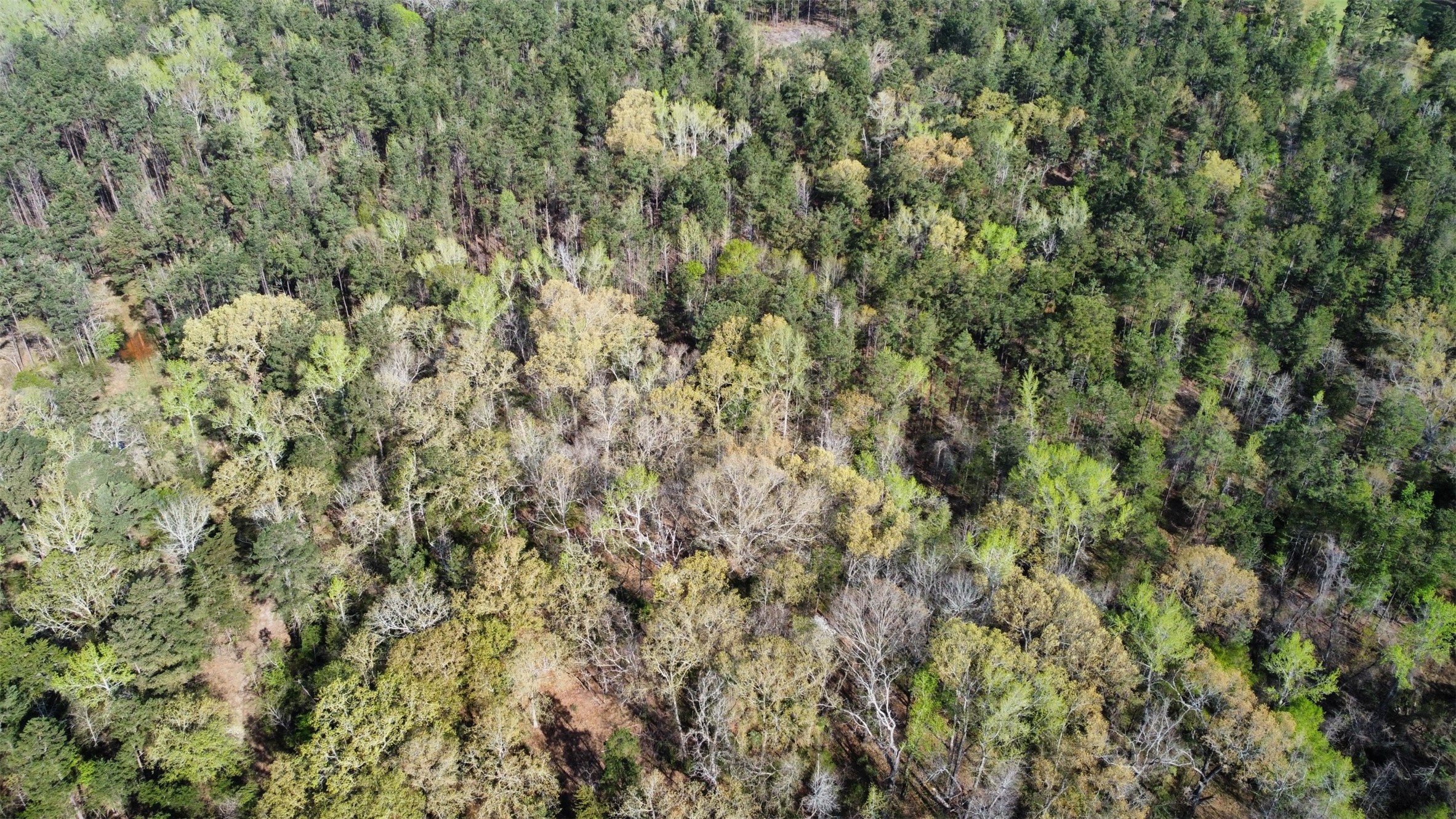 000 County Road 434 Lindale TX 75771