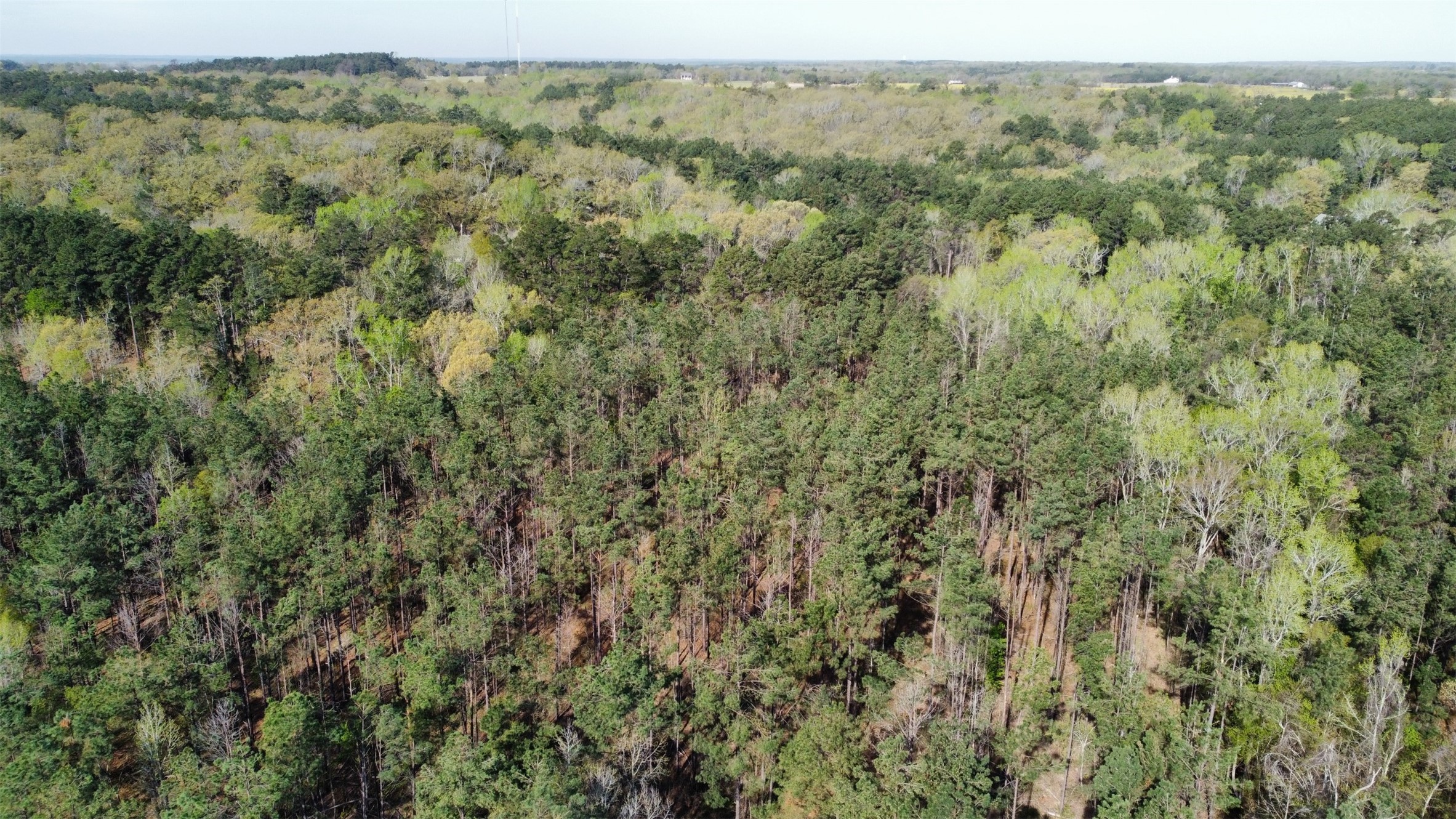 000 County Road 434 Lindale TX 75771