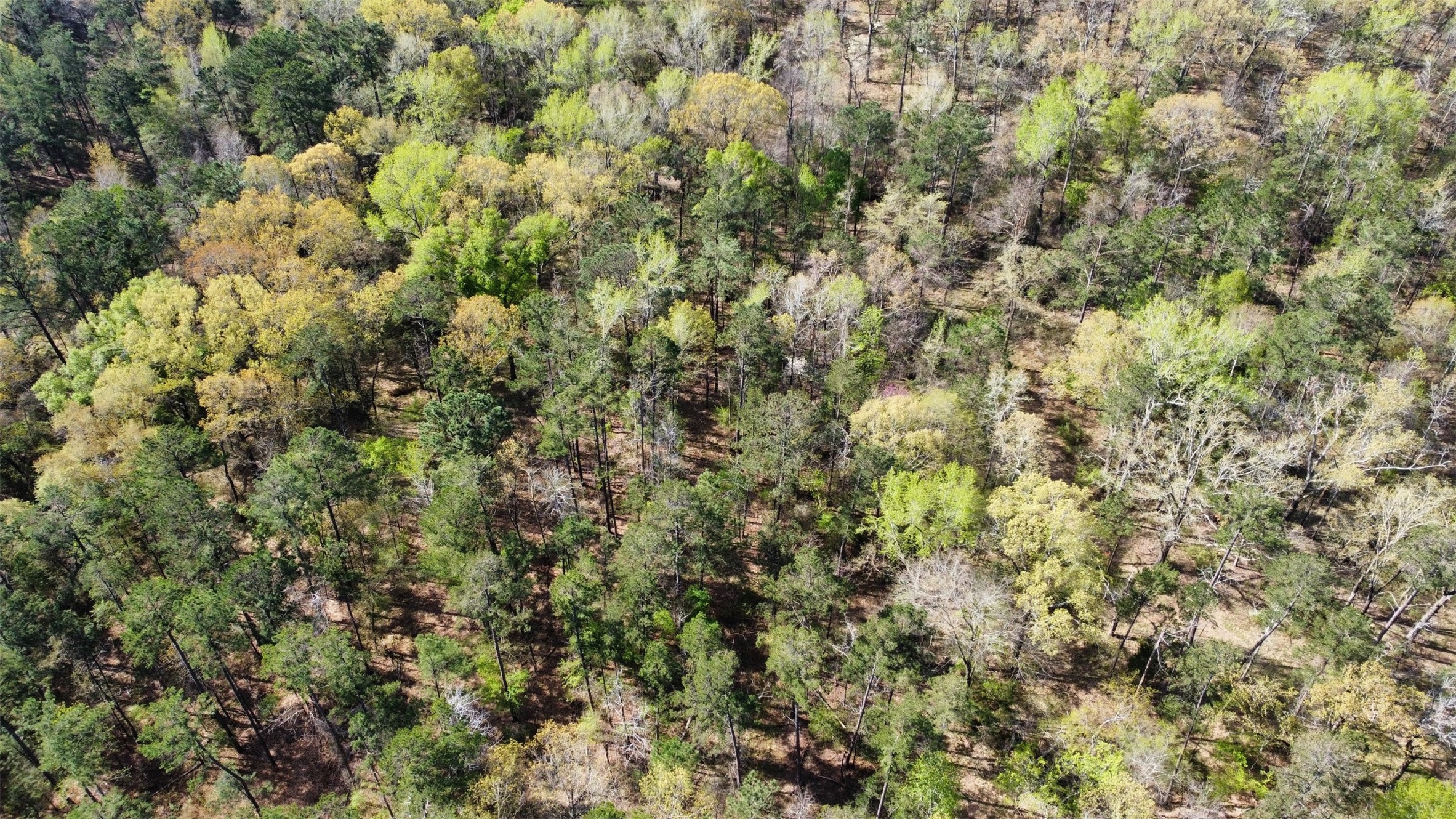 000 County Road 434 Lindale TX 75771