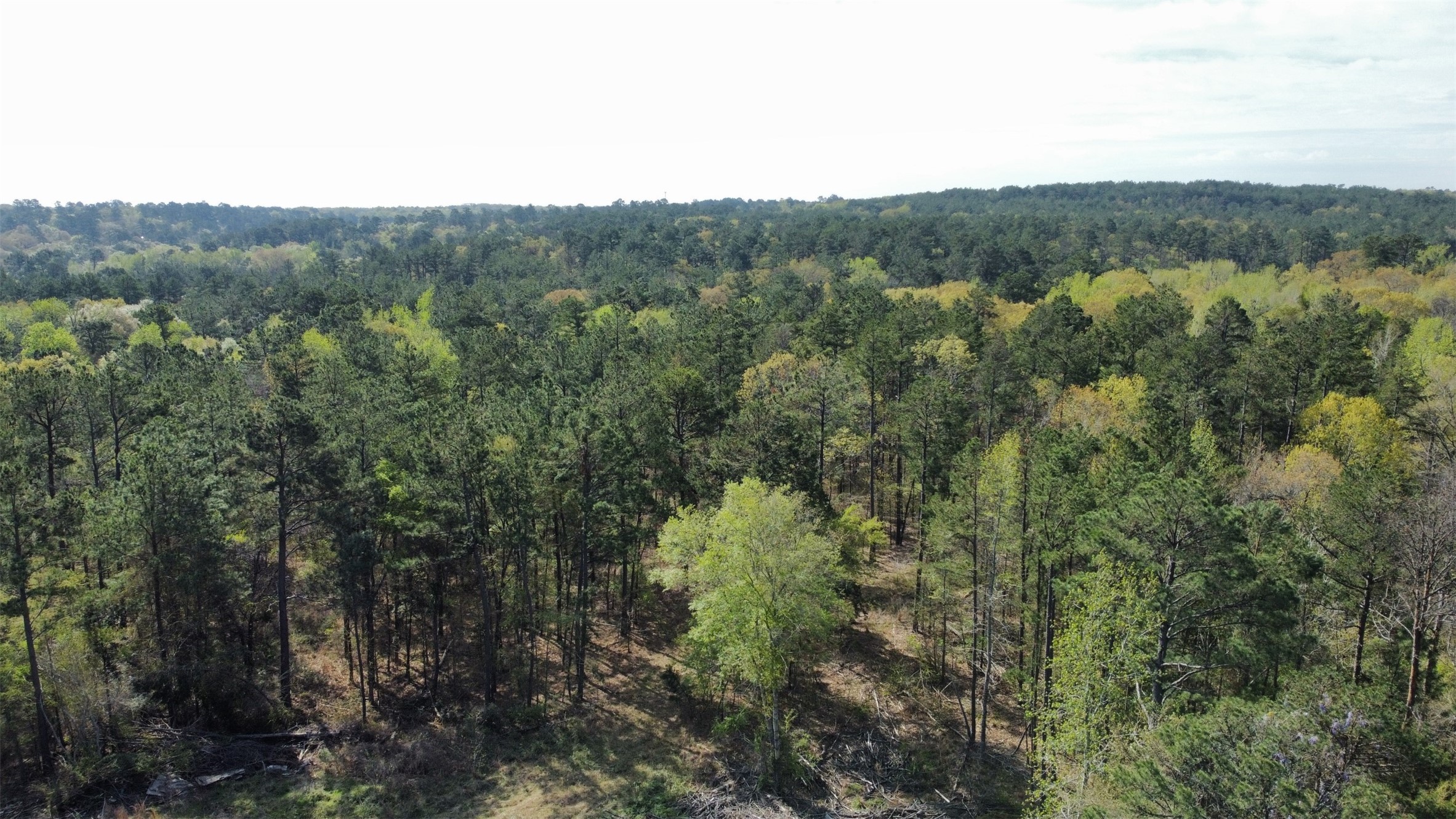 000 County Road 434 Lindale TX 75771