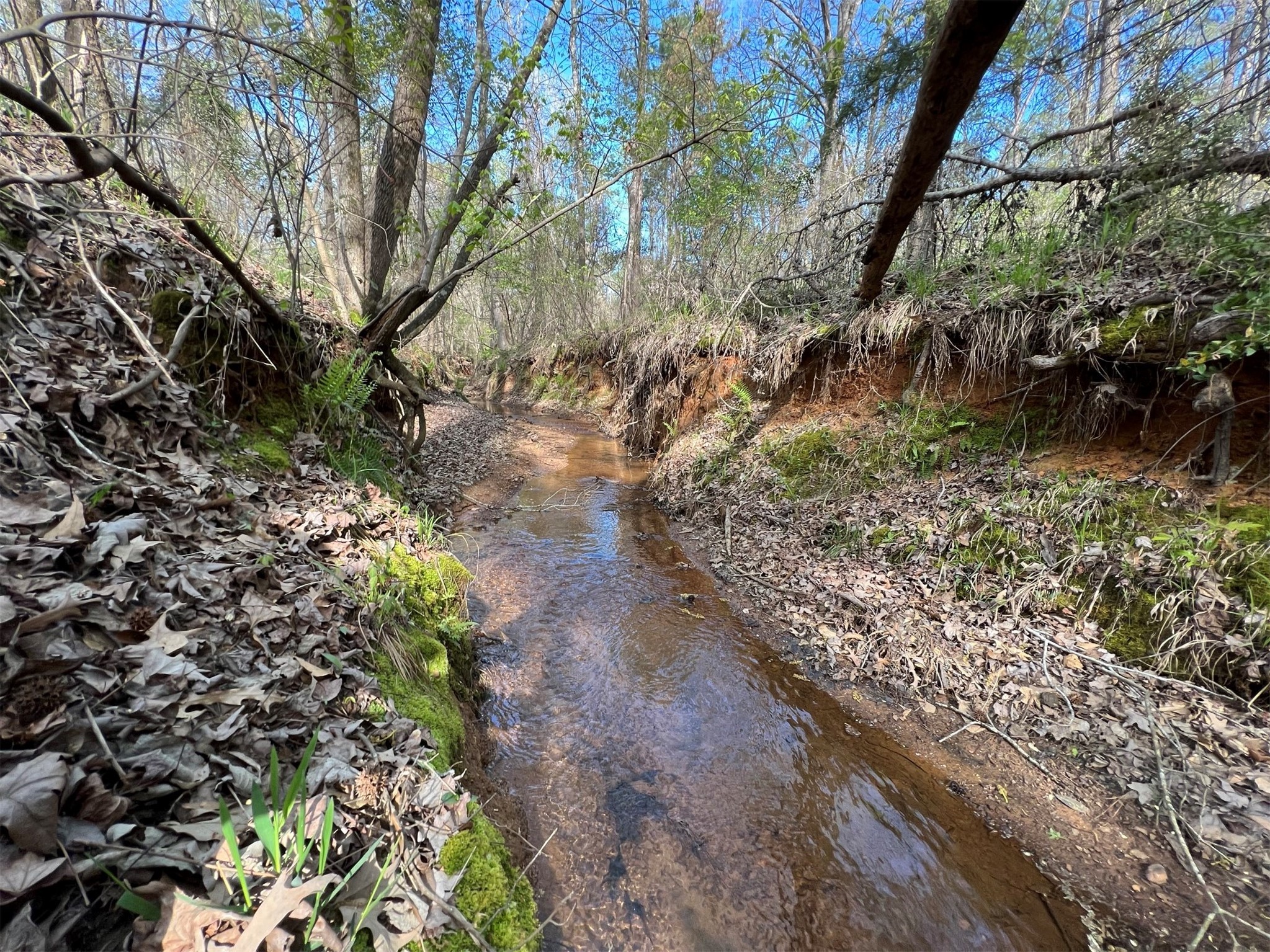 000 County Road 434 Lindale TX 75771