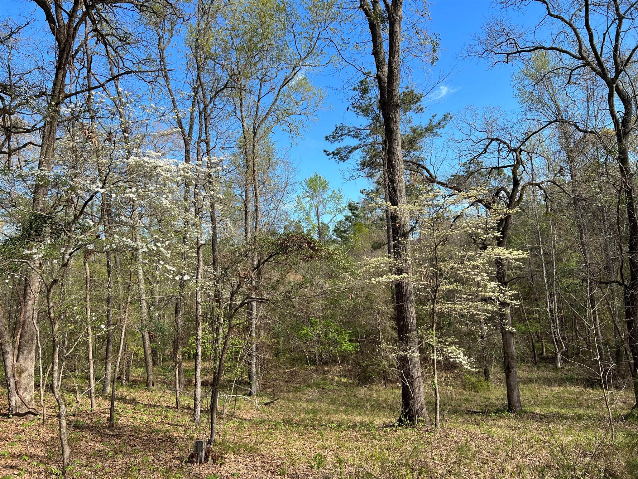000 County Road 434 Lindale TX 75771