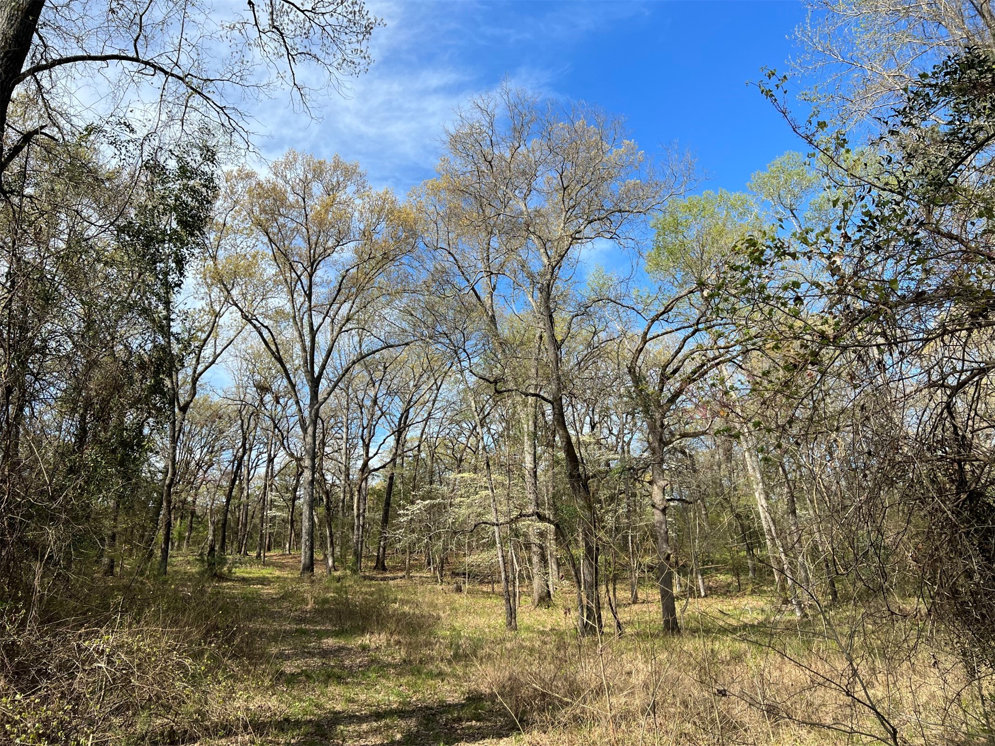 000 County Road 434 Lindale TX 75771