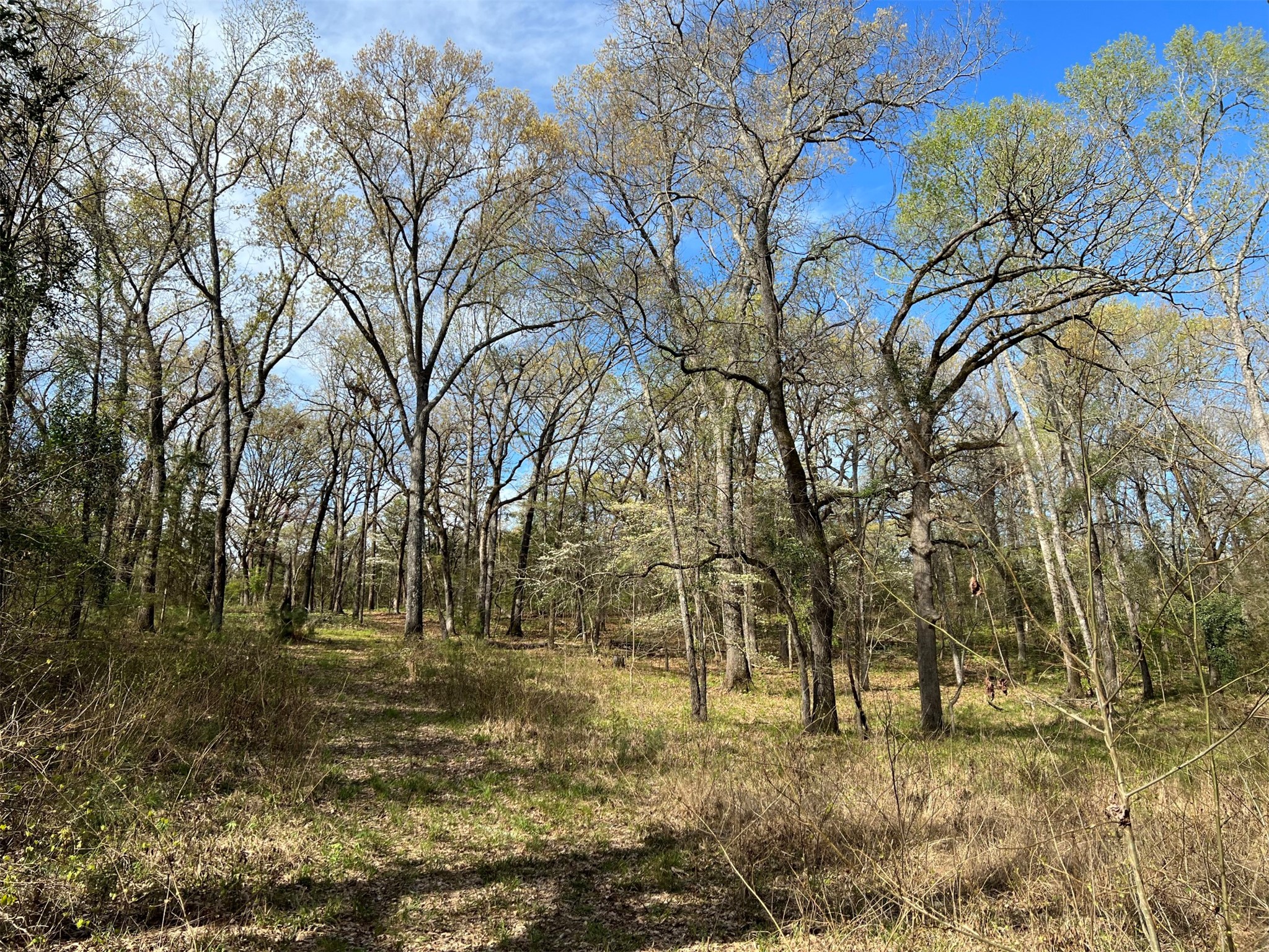 000 County Road 434 Lindale TX 75771