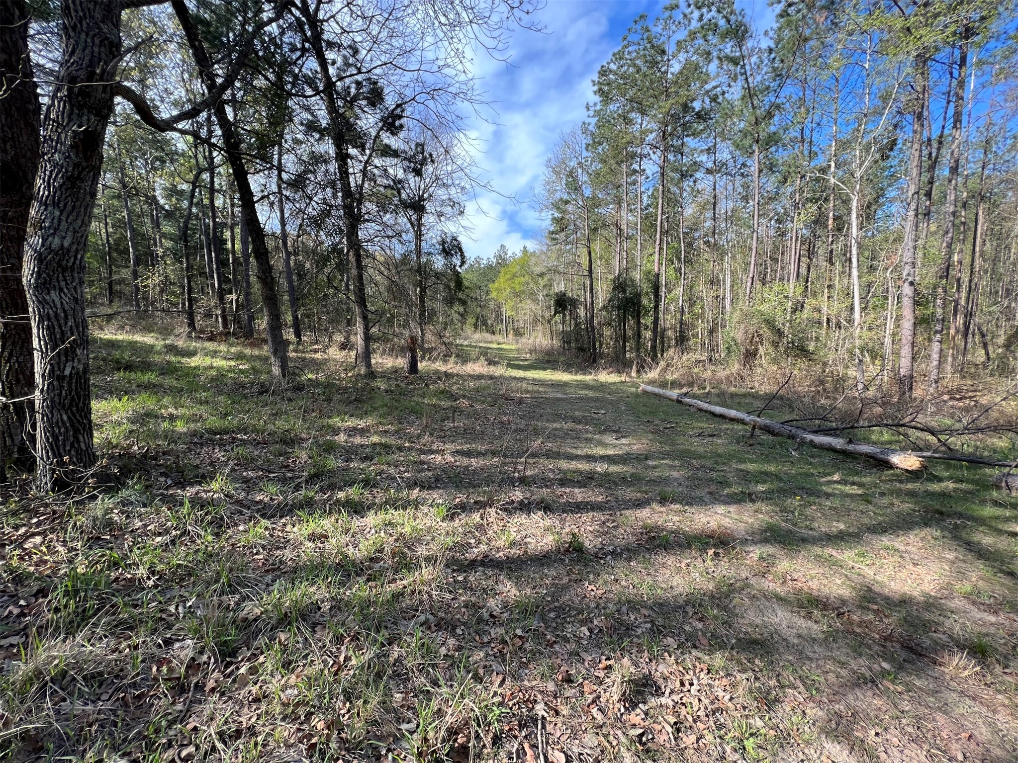 000 County Road 434 Lindale TX 75771