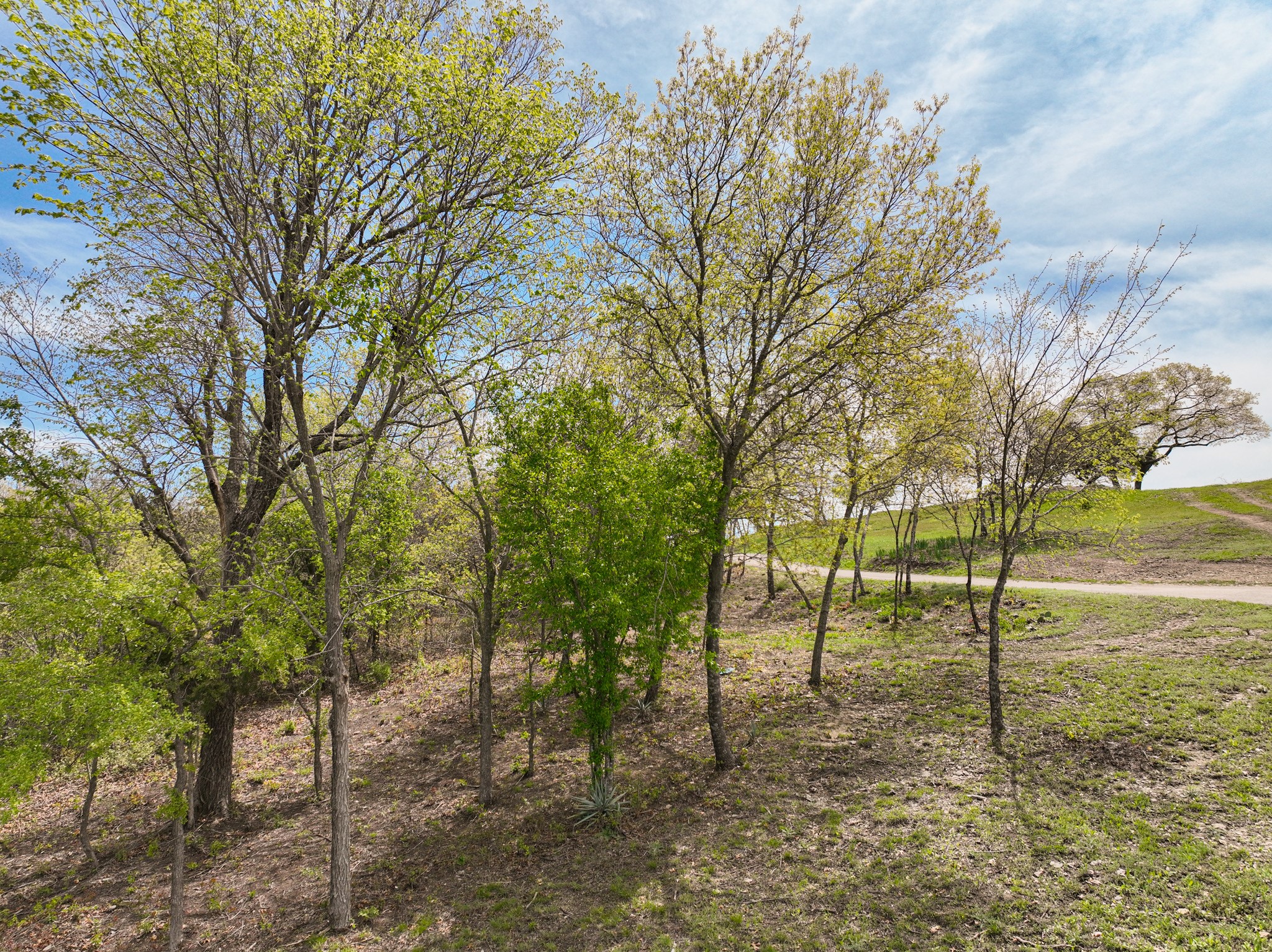 1330 Old Annetta Road Aledo TX 76008