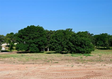 Lot 73 Camden Lane Springtown TX 76082