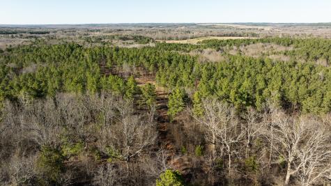 Tbd State Highway 64 Ben Wheeler TX 75754