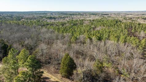 Tbd State Highway 64 Ben Wheeler TX 75754