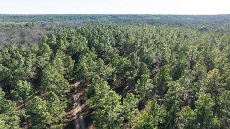 Tbd State Highway 64 Ben Wheeler TX 75754