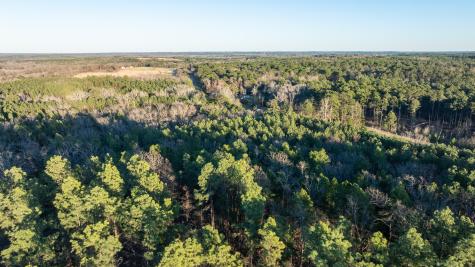 Tbd State Highway 64 Ben Wheeler TX 75754